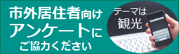ԳｻԸ¿ԤδѸ˴ؤ륢󥱡